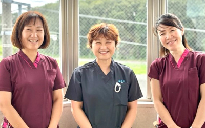資格取得制度